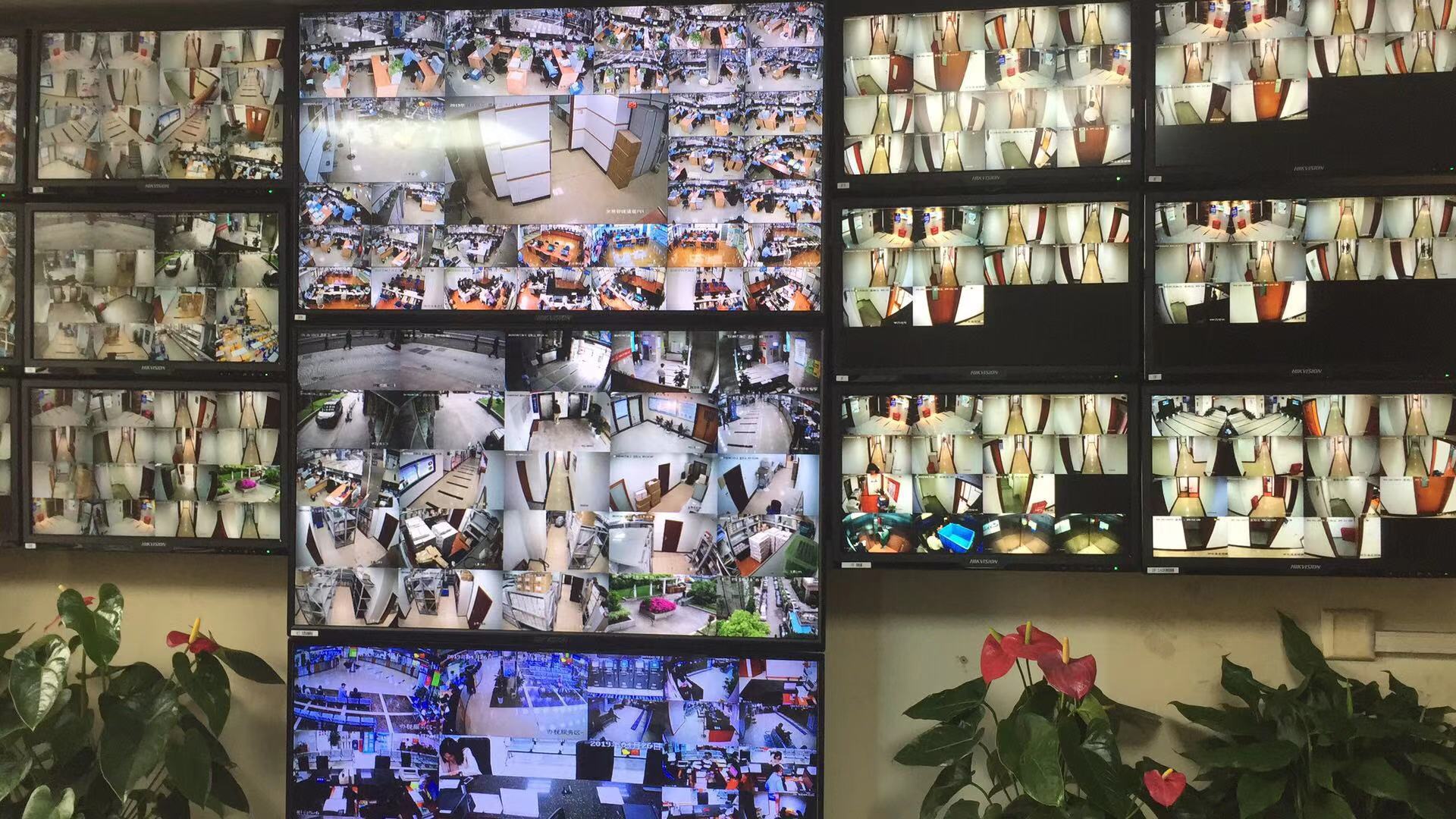 伴随着网络监控的普及，如何选择适合智能养猪场的摄像机？