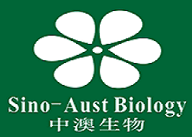 中澳生物医药产业科技园网络覆盖,门禁考勤，视频监控